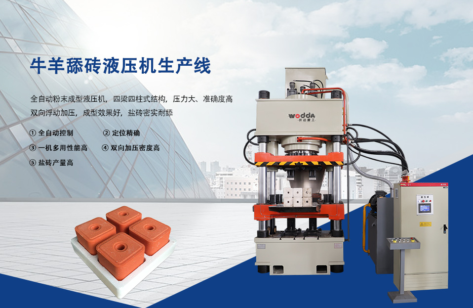 牛羊舔磚(zhuān)液壓機